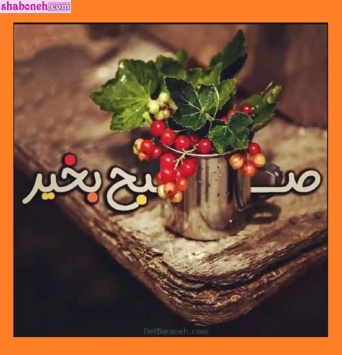 صبح روز شنبه بخیر و شادی (متن و عکس نوشته صبح شنبه بخیر)