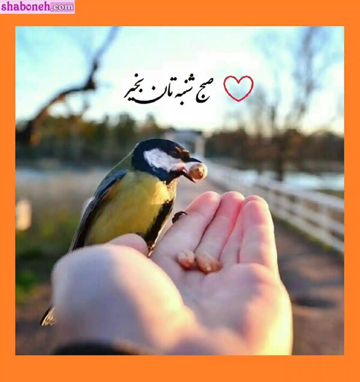 صبح روز شنبه بخیر و شادی (متن و عکس نوشته صبح شنبه بخیر)