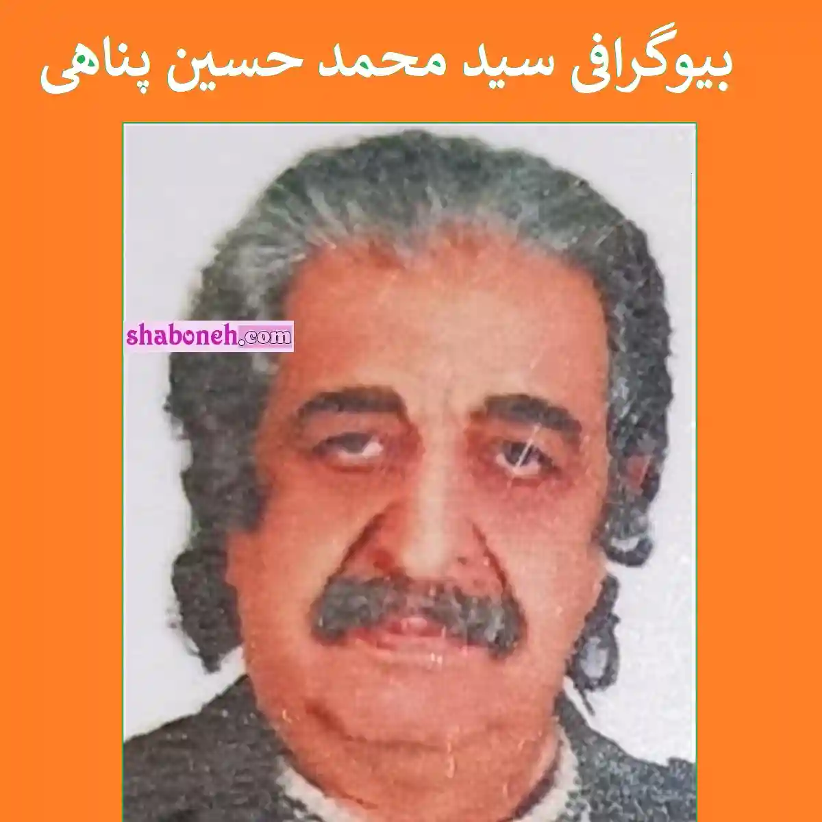 بیوگرافی سید محمدحسین پناهی بازیگر قدیمی سینما و تلویزیون +عکس و سوابق