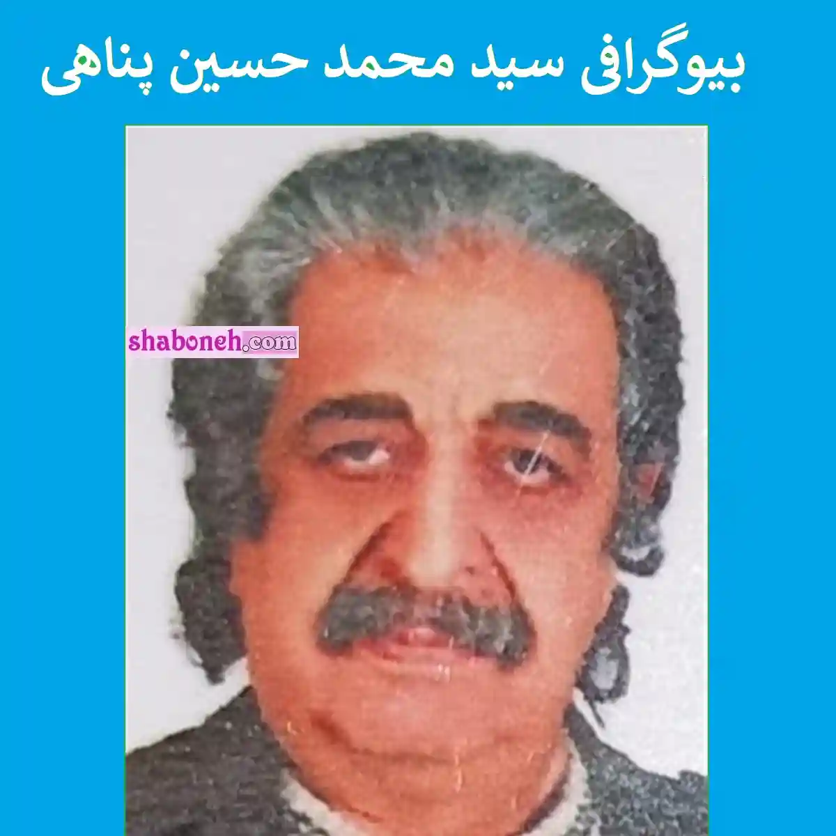 بیوگرافی سید محمدحسین پناهی بازیگر قدیمی سینما و تلویزیون +عکس و سوابق