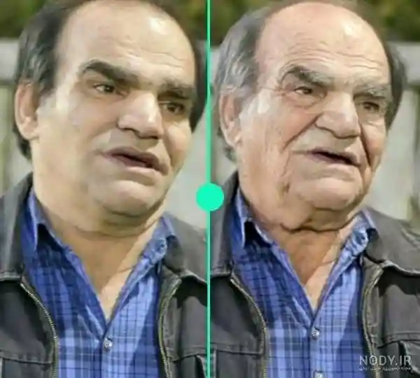 بیوگرافی بازیگران سریال خروس با نقش +اسامی و عکس و خلاصه داستان