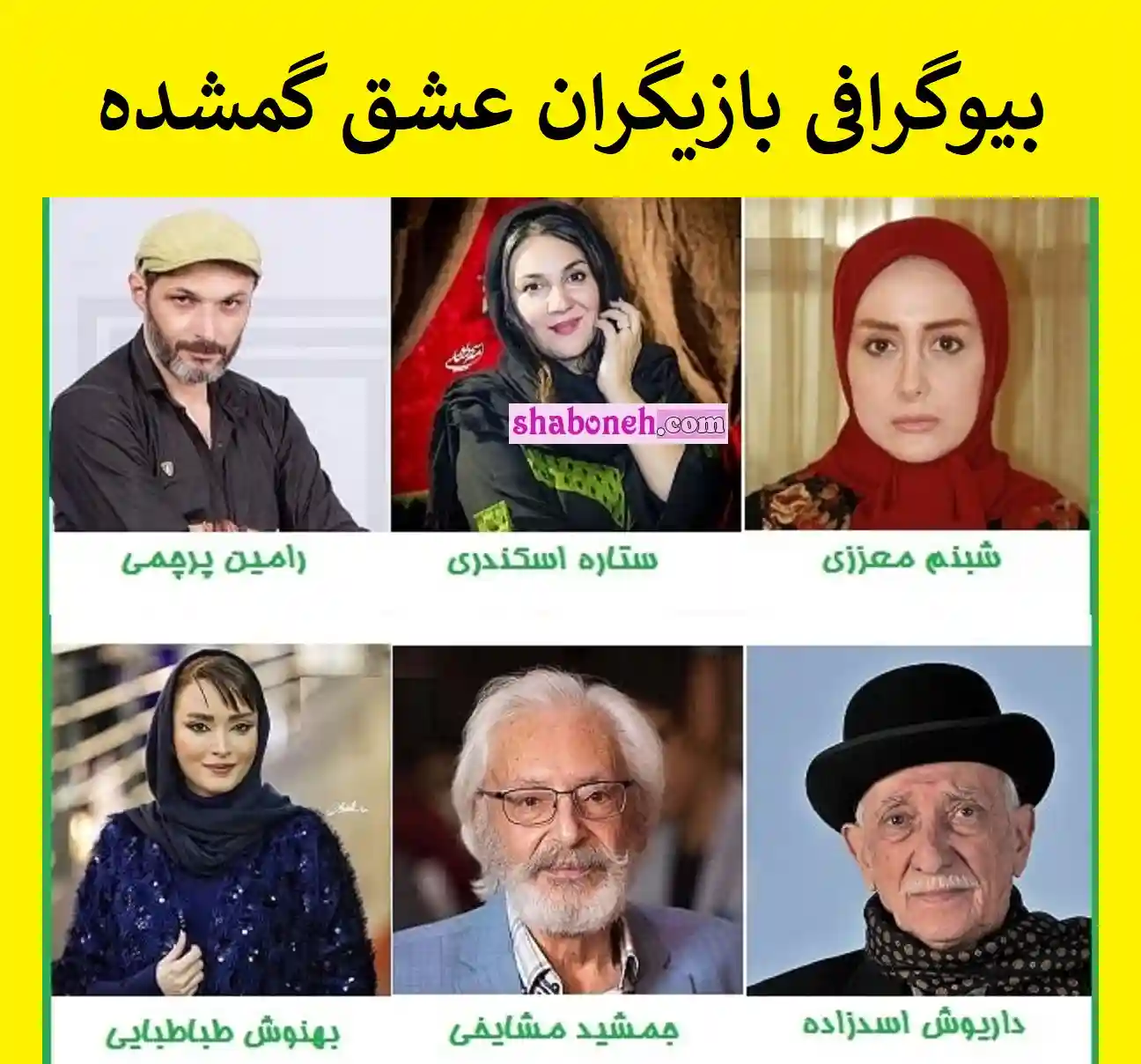 بیوگرافی بازیگران سریال عشق گمشده با نقش +اسامی و عکس و خلاصه داستان