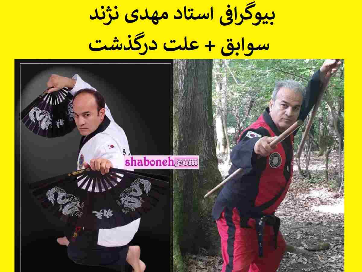 بیوگرافی سید مهدی نژند رئیس هاپکیدوی ایران +علت درگذشت و پیج اینستاگرام