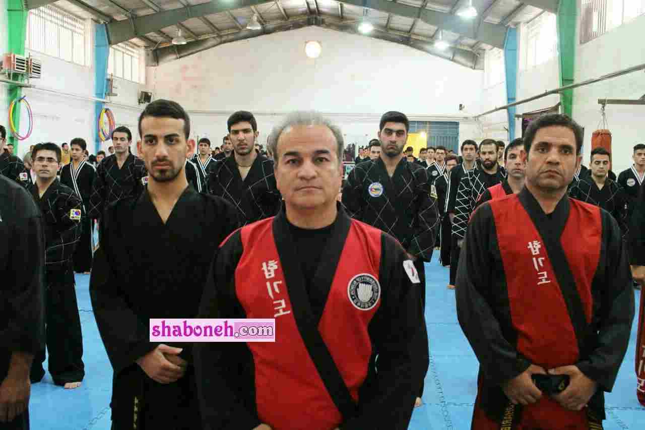 بیوگرافی سید مهدی نژند رئیس هاپکیدوی ایران +علت درگذشت و پیج اینستاگرام
