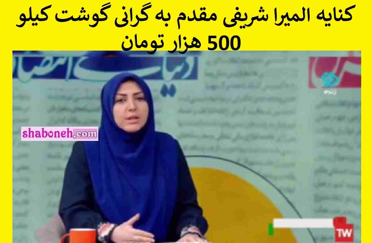 فیلم / کنایه المیرا شریفی‌ مقدم به گرانی گوشت کیلو 500 هزار تومان