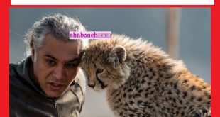 بیوگرافی علیرضا شهرداری تیمارگر پیروز و همسرش و فرزندان + اینستاگرام و عکس