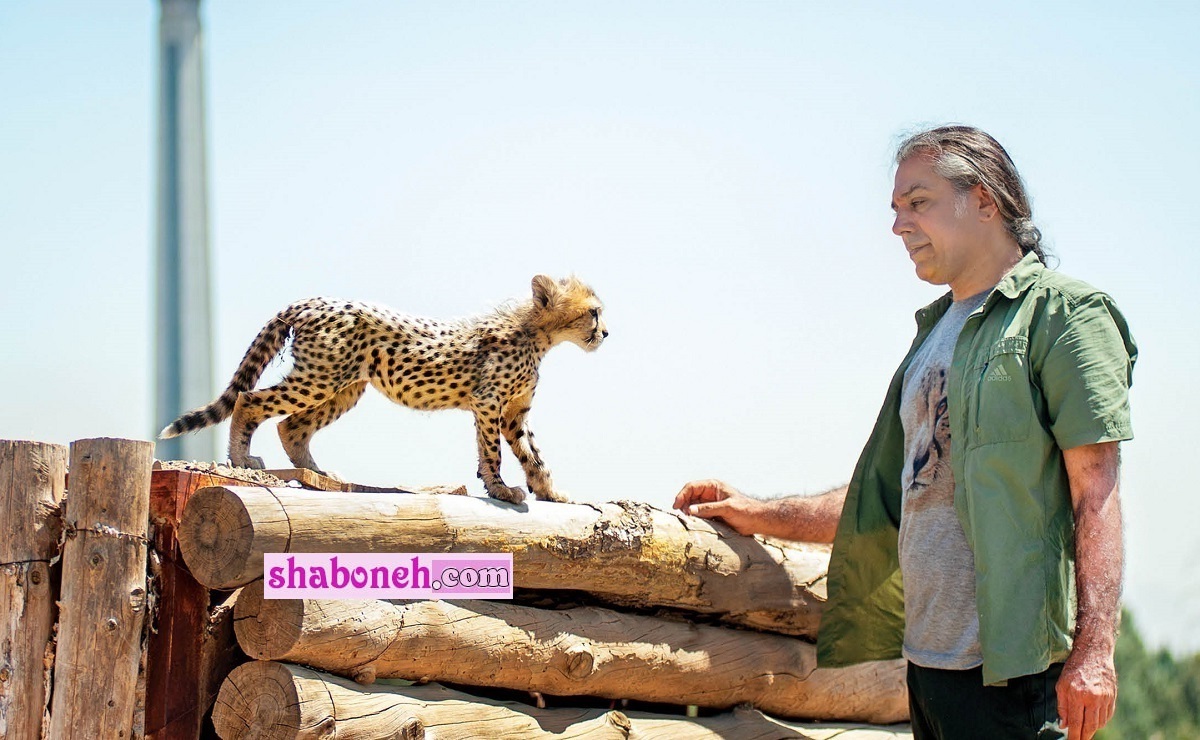 بیوگرافی علیرضا شهرداری تیمارگر پیروز و همسرش و فرزندان + اینستاگرام و عکس