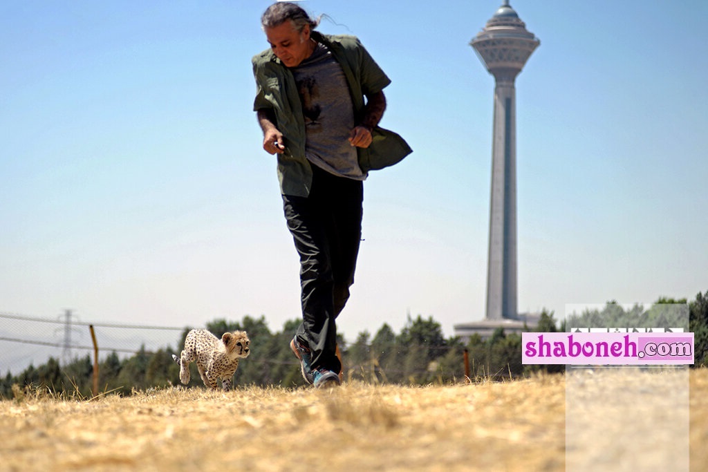 بیوگرافی علیرضا شهرداری تیمارگر پیروز و همسرش و فرزندان + اینستاگرام و عکس