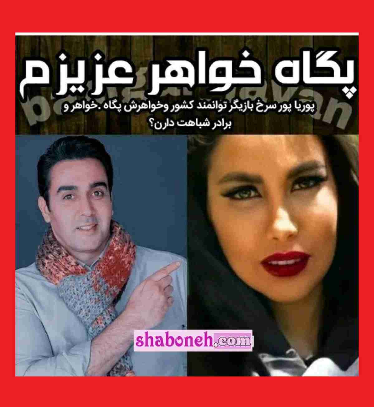 بیوگرافی پگاه پورسرخ خواهر پوریا پورسرخ از پزشکی تا نویسندگی +اینستاگرام و عکس