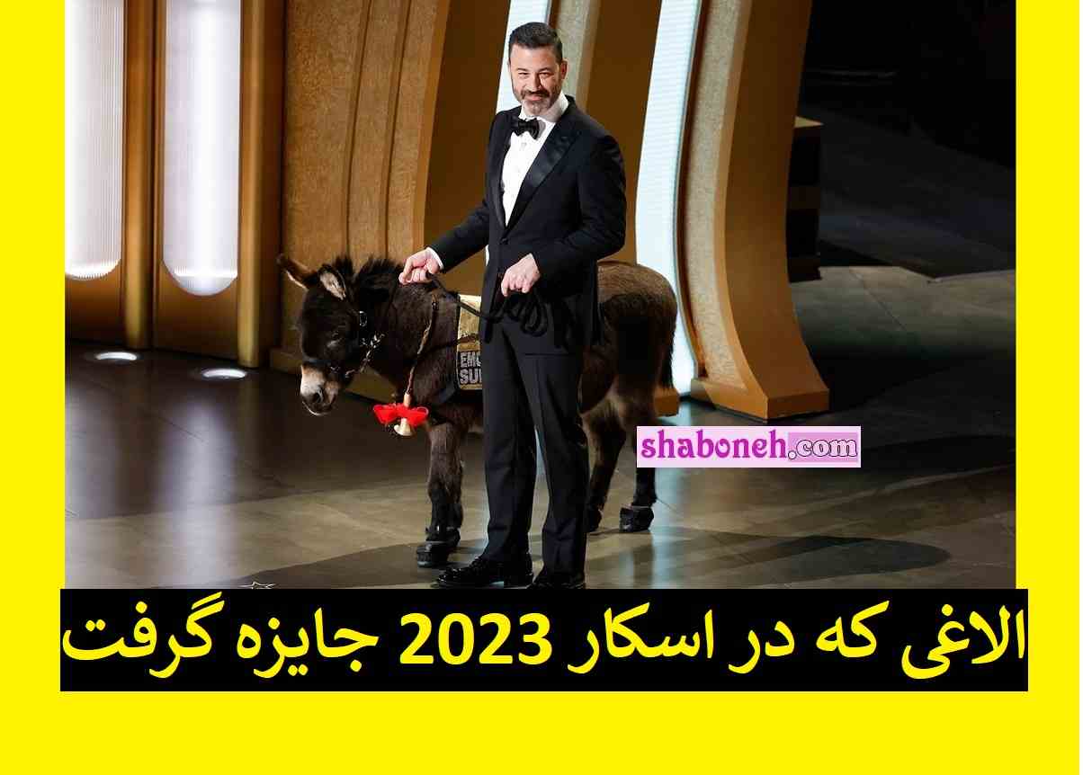 فیلم / الاغ در مراسم اسکار 2023 جایزه گرفت حضور کره خر در اسکار 