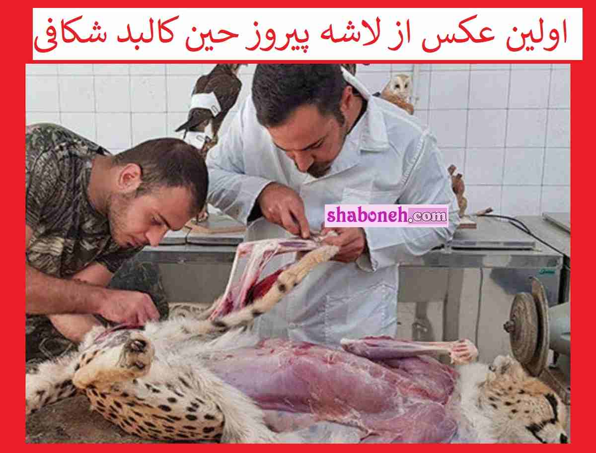 اولین عکس از لاشه و جسد پیروز حین کالبدشکافی (18+)