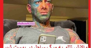 فیلم کامل ری اکشن تتلو به کشته شدن ساحل در پوست شیر +واکنش