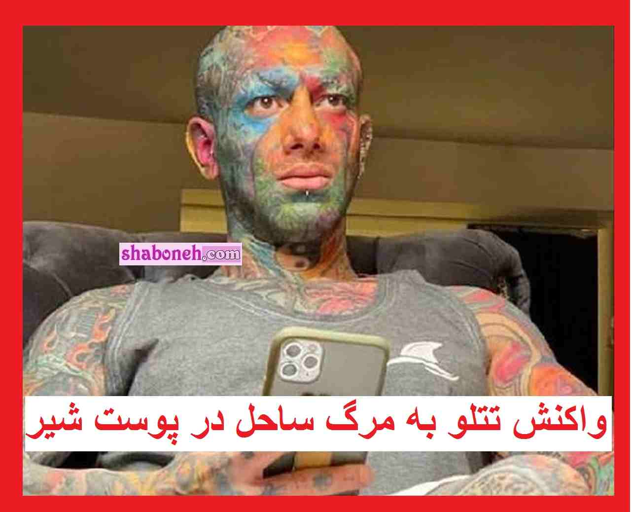 فیلم کامل ری اکشن تتلو به کشته شدن ساحل در پوست شیر +واکنش