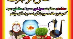 متن و پیام تبریک سال نو و عید نوروز 1403 به برادر و داداش + استوری