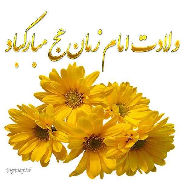 کس پروفایل برای میلاد امام زمان عج و استوری با تصاویر نیمه شعبان