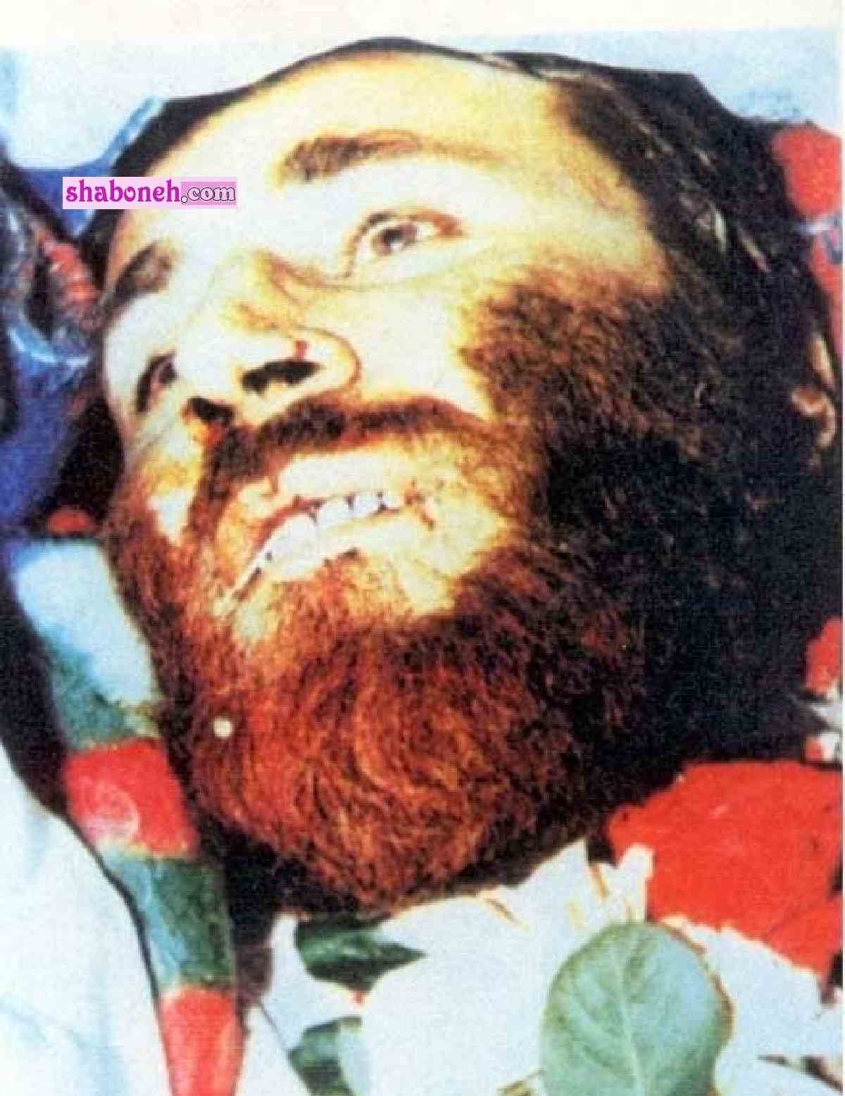بیوگرافی شهید محمد بروجردی عکس شهادت