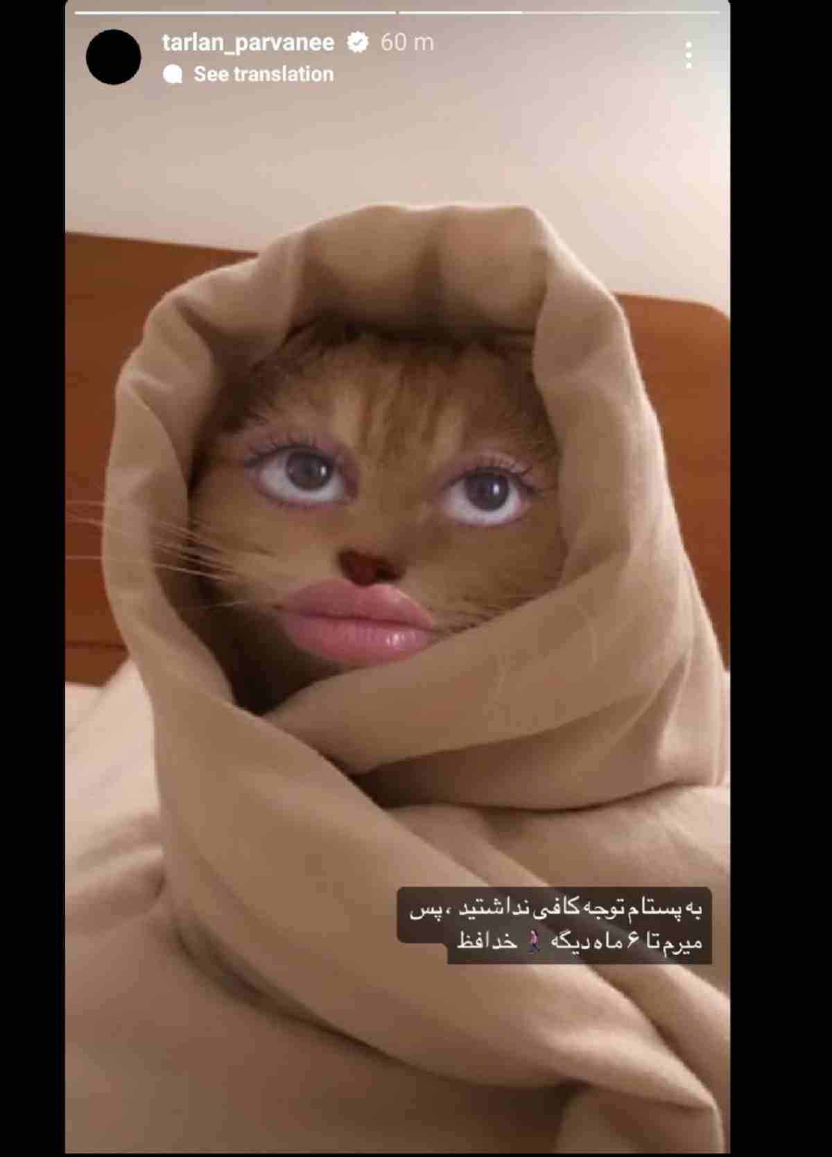 استوری عجیب ترلان پروانه و خداحافظی از اینستاگرام یکی جلوی او را بگیرد