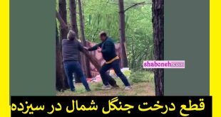 قطع درخت جنگل شمال در سیزده بدر 1402 توسط دو مرد بی شعور را ببینید