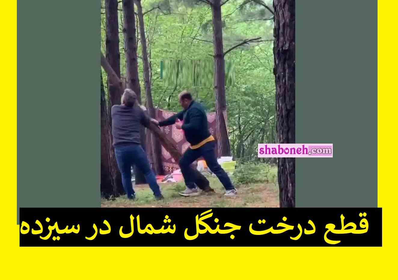 قطع درخت جنگل شمال در سیزده بدر 1402 توسط دو مرد بی شعور را ببینید