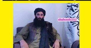 عبدالحمید خراسانی ناصر بدری (طالبان) دهانش را گِل گرفتند