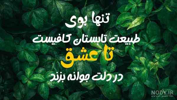 متن و جملات تبریک شروع تابستان ۱۴۰۲ + عکس نوشته و استوری تابستان مبارک