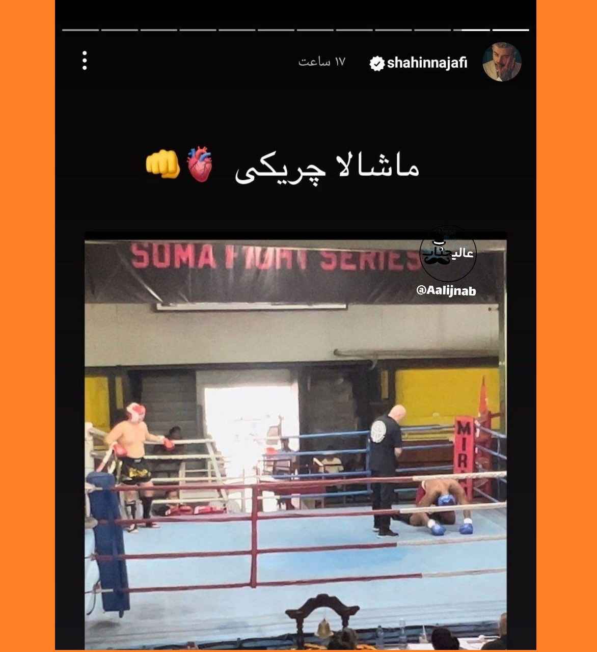 شاهین نجفی گاف داد خواننده کافر لخت شد و به مردم توهین کرد