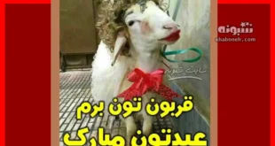 متن تبریک عید قربان 1403 مبارک برای استوری و پروفایل تصاویر