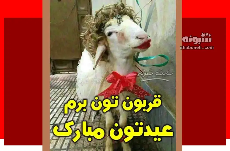 متن تبریک عید قربان 1403 مبارک برای استوری و پروفایل تصاویر