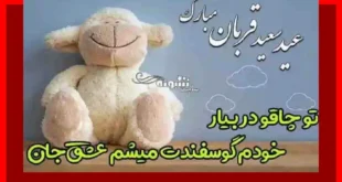متن و پیام تبریک عید قربان 1403 به عشقم و همسرم با عکس عاشقانه