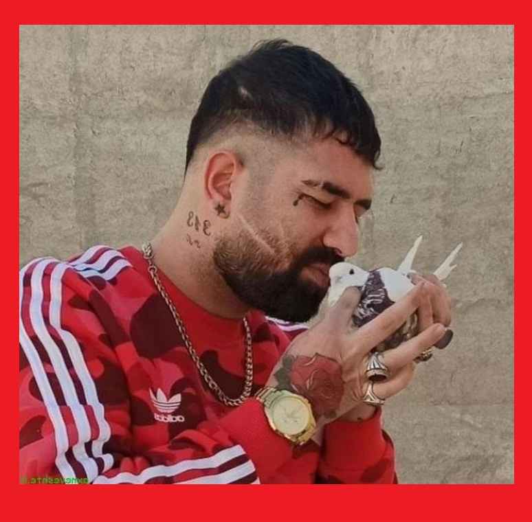 بیوگرافی پیمان آدیداس بلاگر اینستاگرام و همسرش کیست +فوت و مرگ