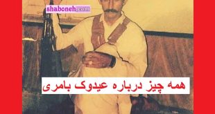 عیدوک بامری کیست بیوگرافی و ماجرای رابطه با سردار سلیمانی