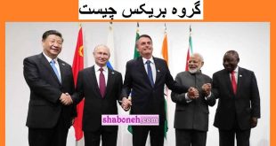 گروه برکیس چیست و سودی برای ایران دارد؟