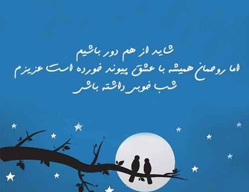 متن و پیامک عاشقانه شب بخیر به یار و همسر + عکس نوشته و استوری شب بخیر 
