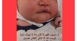 استوری پرستار بیمارستان فرقانی قم در مورد تولد نوزادان افغان