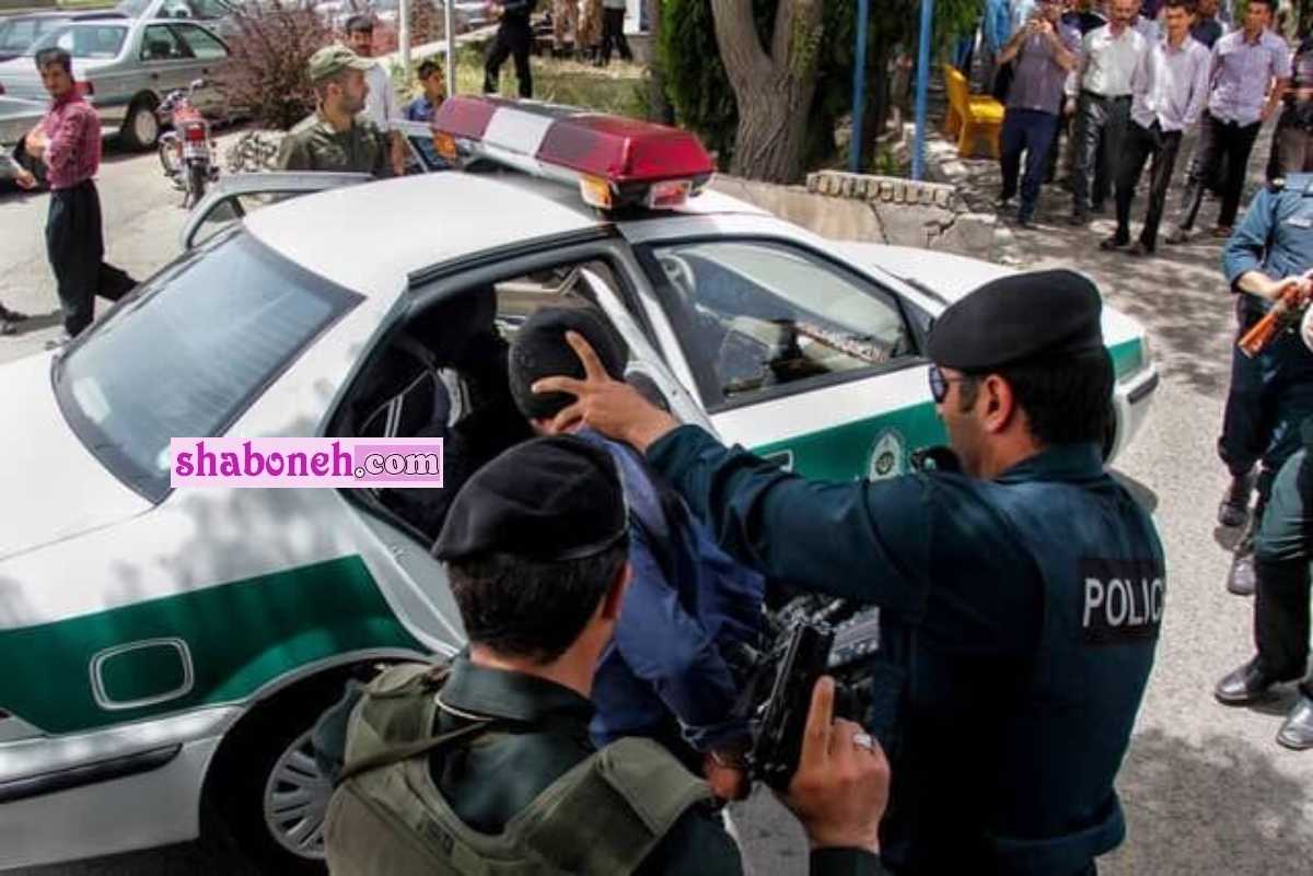 قاتل داریوش مهرجویی کیست و انگیز قتل وحیده محمدی فر