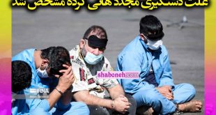 علت دستگیری مجدد هانی کرده مشخص شد