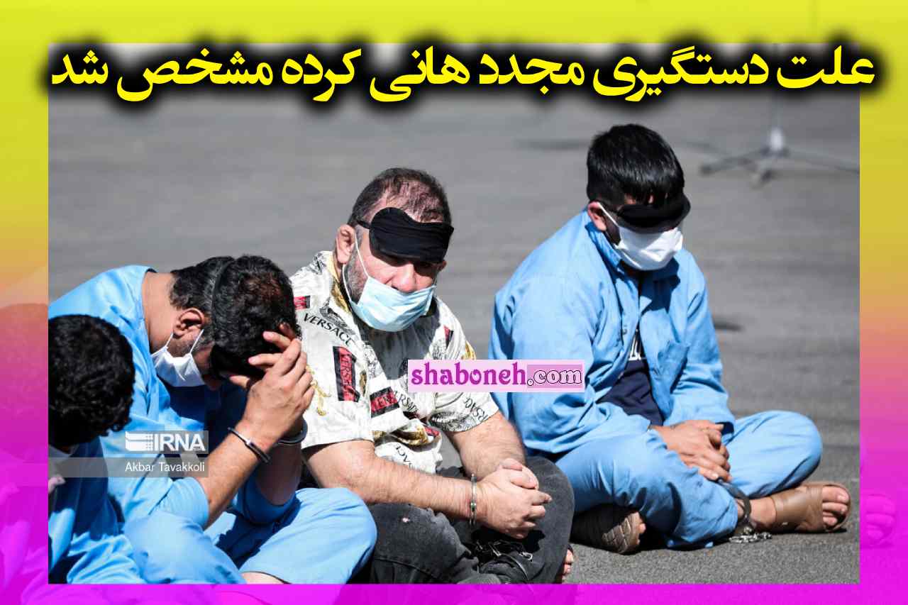 علت دستگیری مجدد هانی کرده مشخص شد
