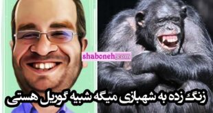 فیلم کامل محمدرضا شهبازی شبیه گوریل هستی که با خاک یکسان شد