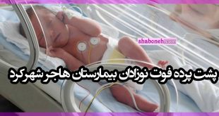 پشت پرده فوت نوزادان بیمارستان هاجر شهرکرد +عکس