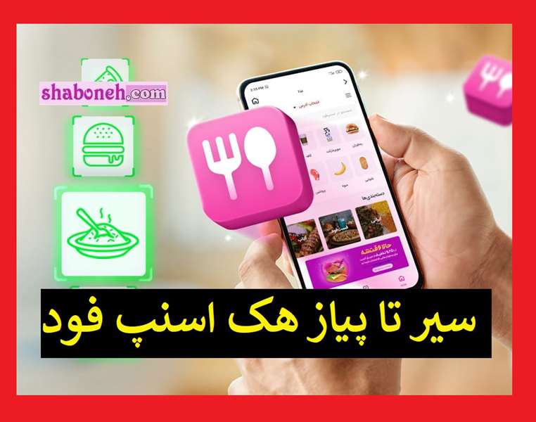 هکر اسنپ فود کیست و اطلاعات اسنپ فود به چه دردی میخورند؟