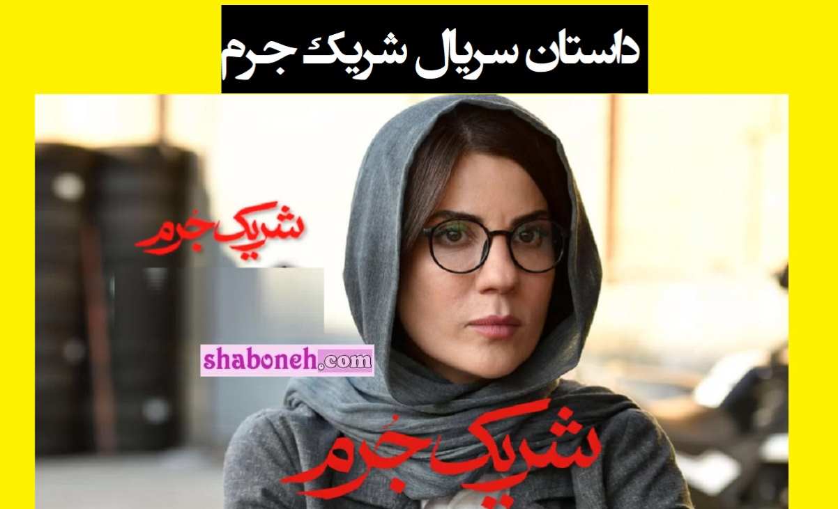 داستان سریال شریک جرم درباره چیست آیا واقعی است؟ +موضوع 