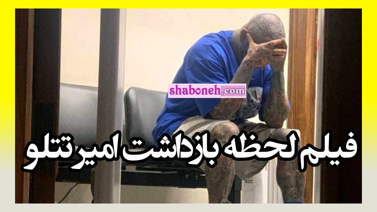 فیلم لحظه بازداشت امیر تتلو در ترکیه به دلیل توهین به سفارت کنسولگری ایران