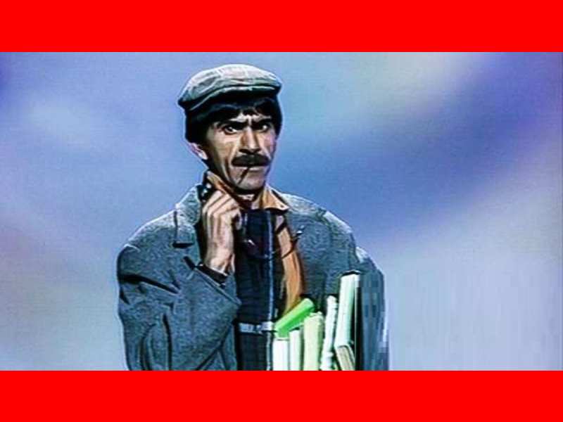 بیوگرافی بازیگران فیلم دو مرغابی در مه با نقش + عکس و داستان