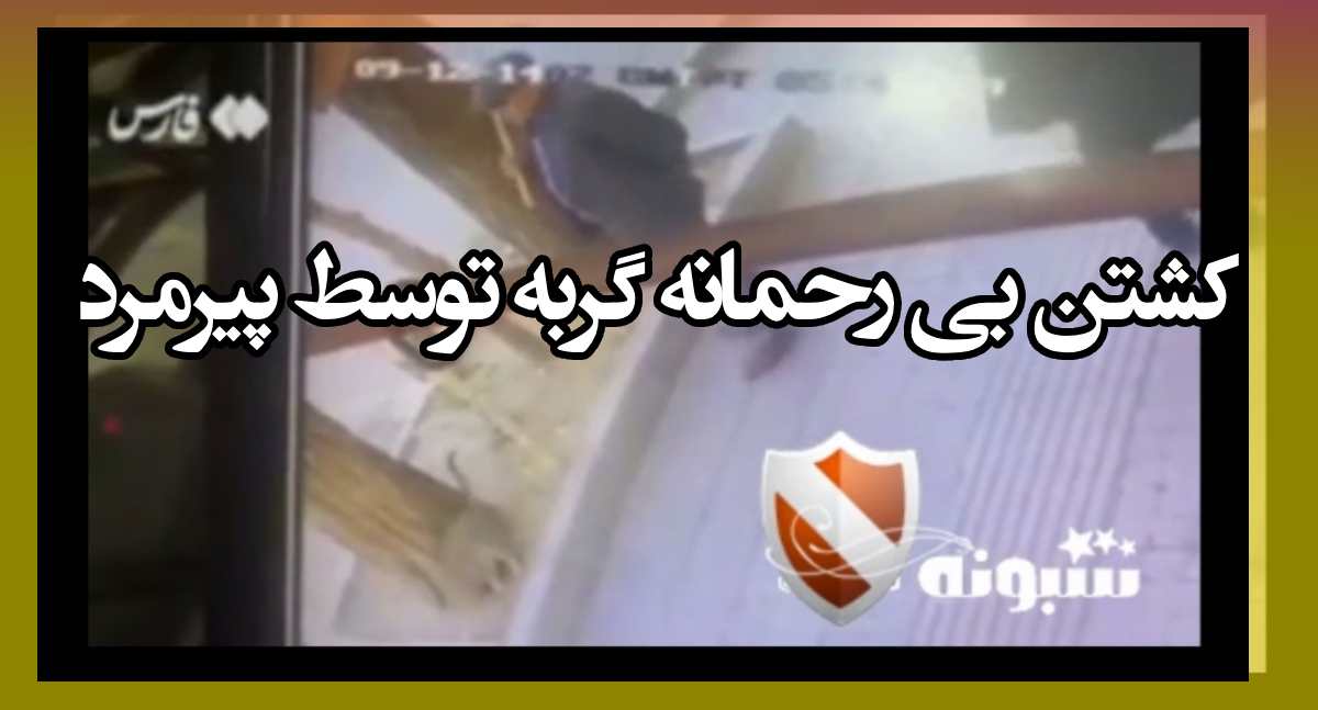 فیلم کامل کشتن گربه در اردبیل توسط یک پیرمرد با چوب + جزئیات