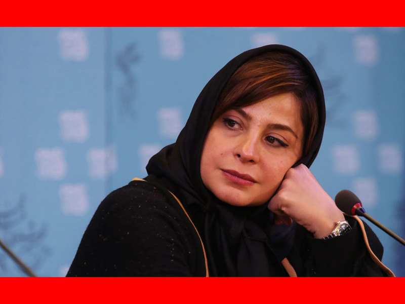 بیوگرافی بازیگران سریال داوینچیز با نقش +داستان و عکس