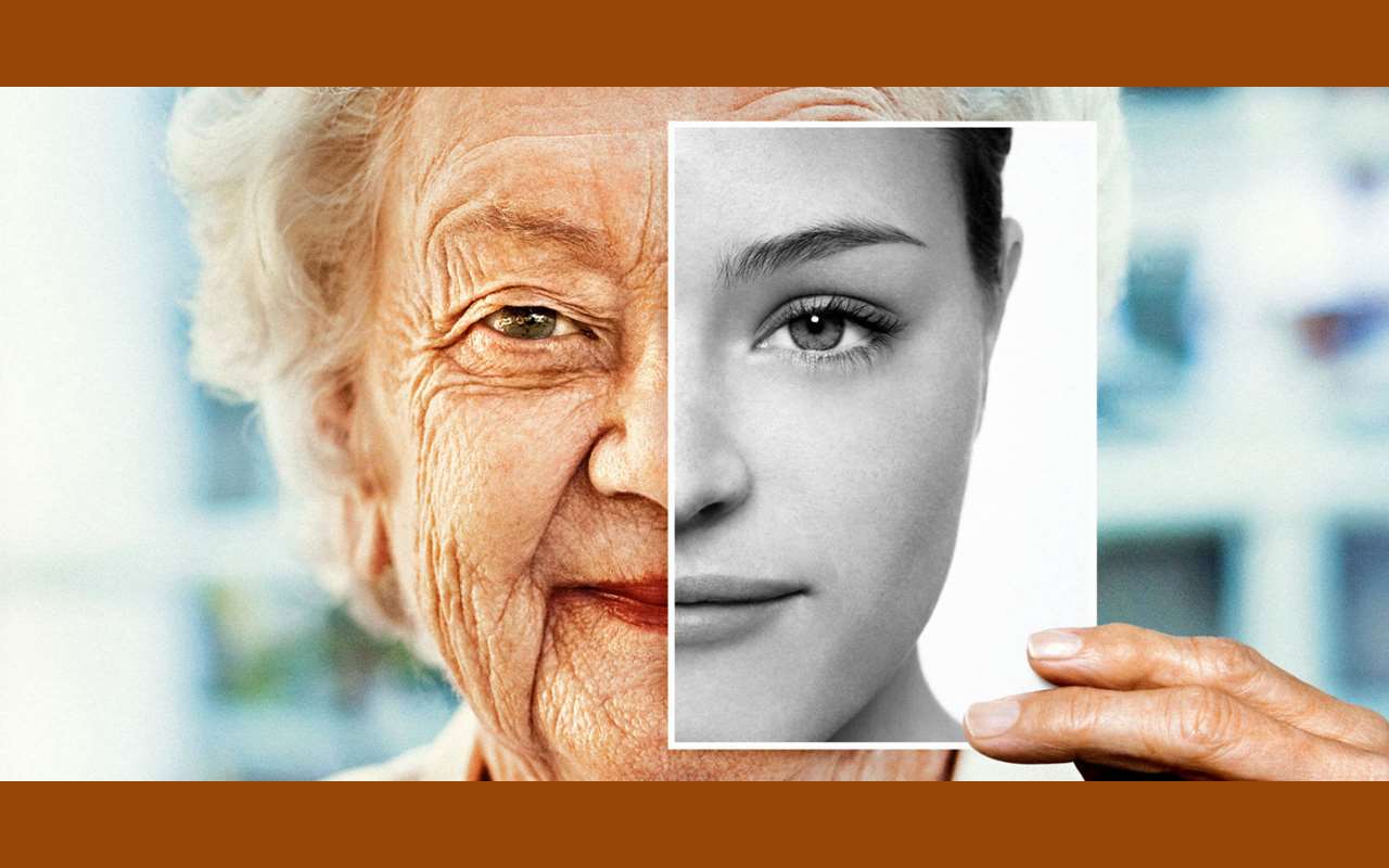 پروتئین hkdc1 چیست داروی ضدپیری چگونه عمل میکند +نحوه سفارش