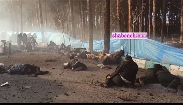 خانواده سلطانی نژاد کیست با 8 شهید در حادثه تروریستی کرمان +عکس