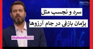 پژمان بازغی در جام آرزوها خشک و روی اعصاب ملت