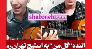 بیوگرافی ابوالفضل غلامی (گل منو اذیت نکنید) کیست و اهل کجاست +فیلم