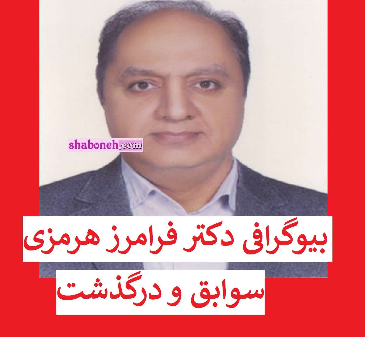 بیوگرافی دکتر فرامرز هرمزی استاد دانشگاه سمنان +علت فوت و همسر و فرزندان